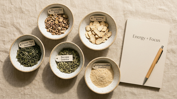 Herbal supplements for energy and focus arranged with green tea, ginseng, rhodiola, bacopa, and ashwagandha.