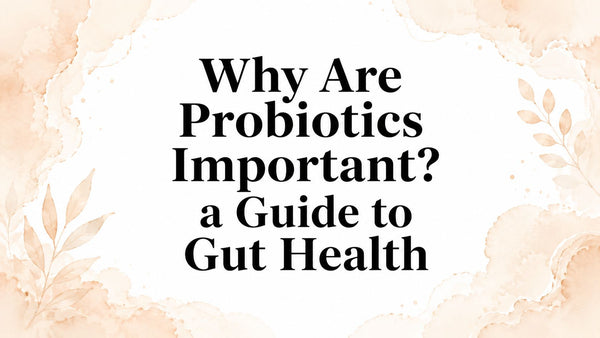 Why Are Probiotics Important? a Guide to Gut Health