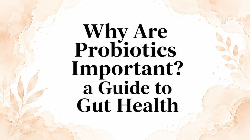 Why Are Probiotics Important? a Guide to Gut Health