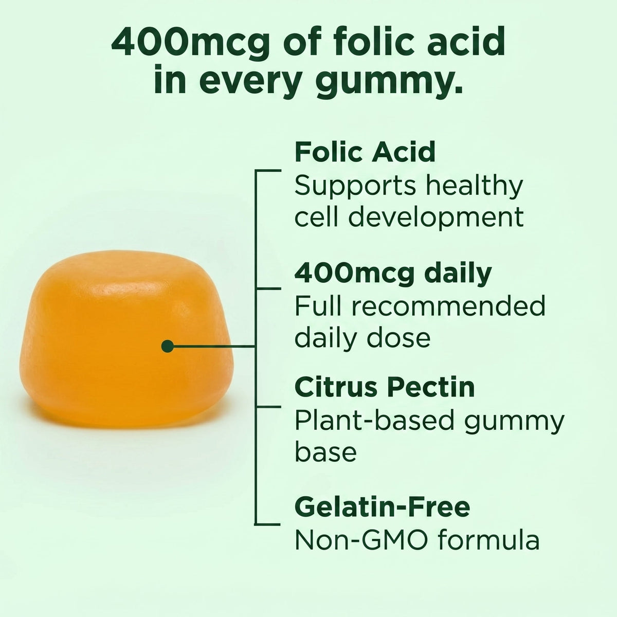 Folic Acid Gummies ingredient callouts