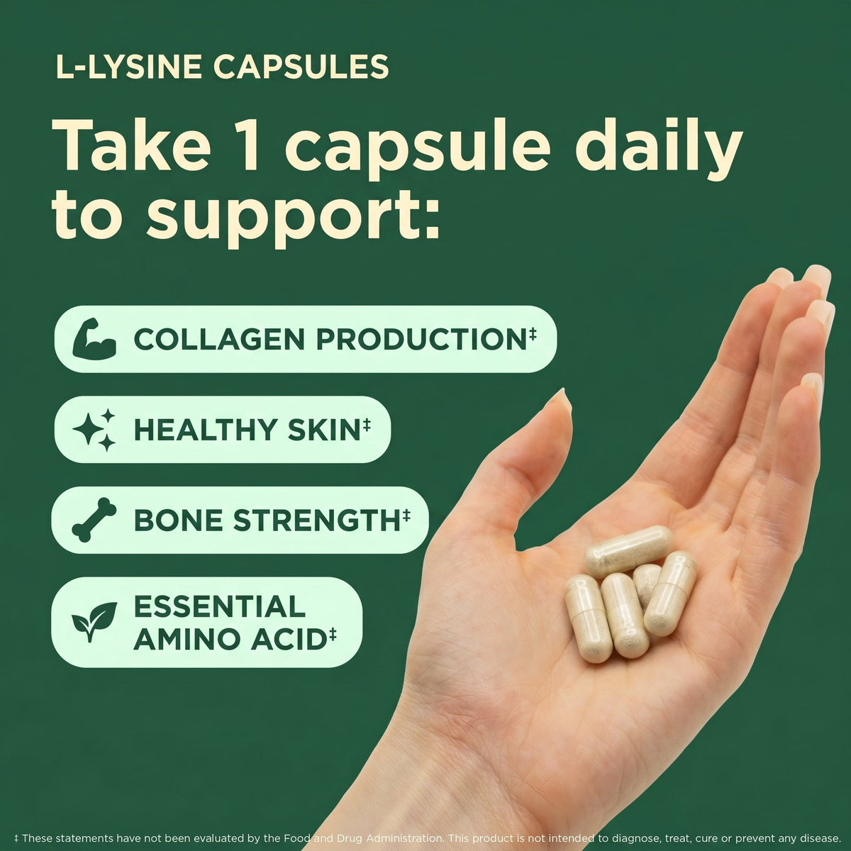 L-Lysine daily benefits