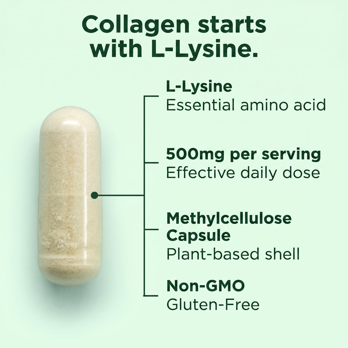 L-Lysine ingredient callouts