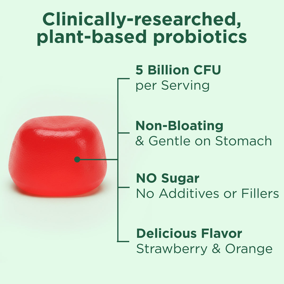 Vegan Probiotic Gummies