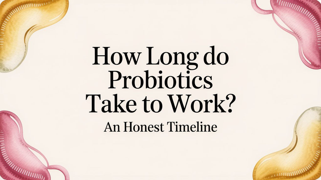 How Long Do Probiotics Take to Work? An Honest Timeline