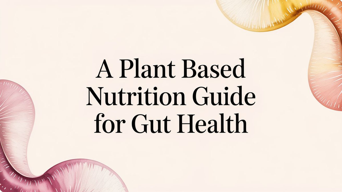 A Plant Based Nutrition Guide for Gut Health – Yuve