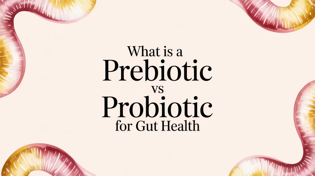 Prebiotic vs. Probiotic: Your Guide to a Happier Gut