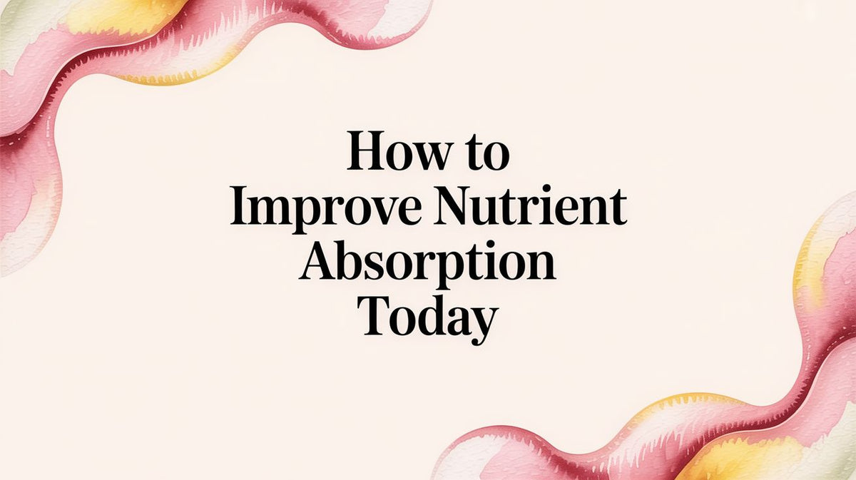 How to Improve Nutrient Absorption and Feel Your Best – Yuve