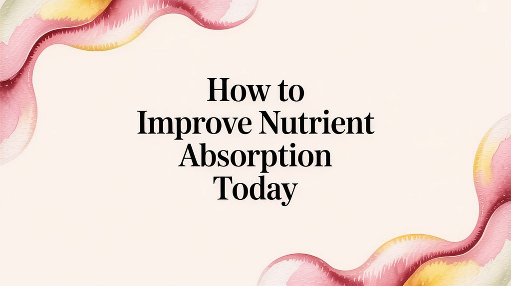 How to Improve Nutrient Absorption and Feel Your Best