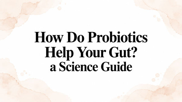 How Do Probiotics Help Your Gut? a Science Guide