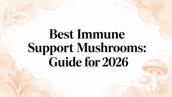 Best Immune Support Mushrooms: Guide for 2026