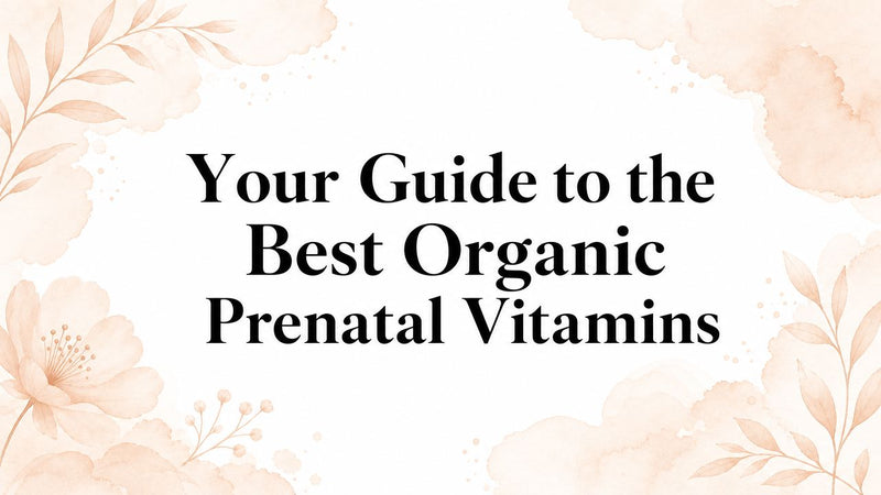 Your Guide to the Best Organic Prenatal Vitamins