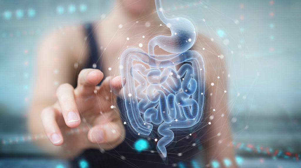 What is Leaky Gut Syndrome and How to Heal it Naturally?