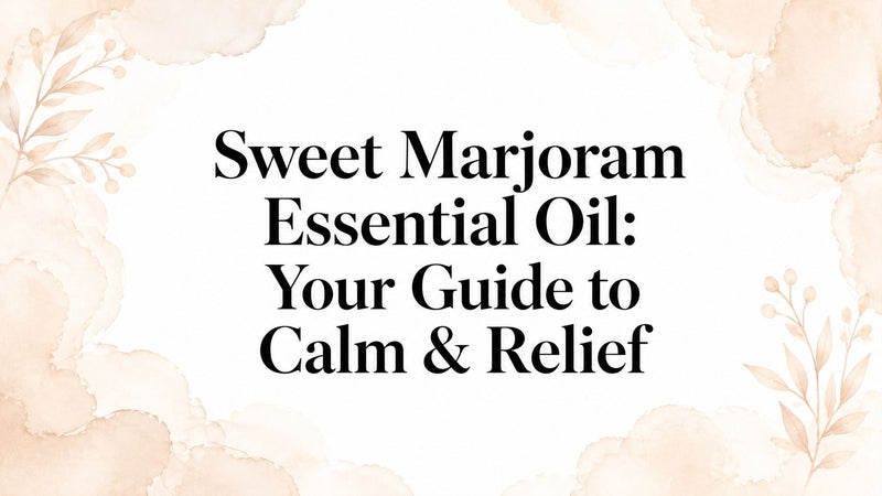 Sweet Marjoram Essential Oil: Your Guide to Calm & Relief