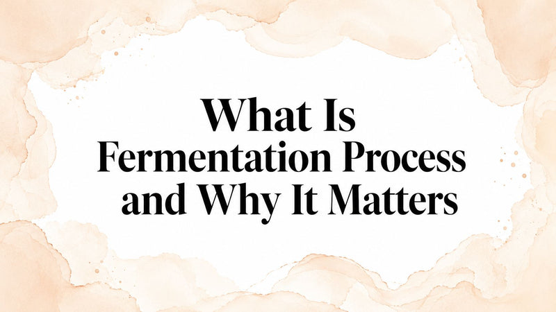 What Is Fermentation Process and Why It Matters