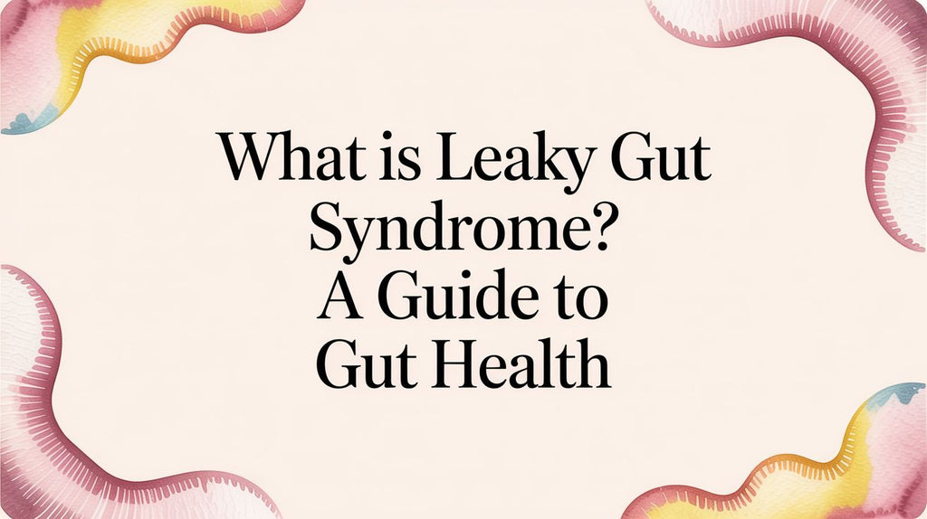 What Is Leaky Gut Syndrome? A Friendly Guide to Your Gut