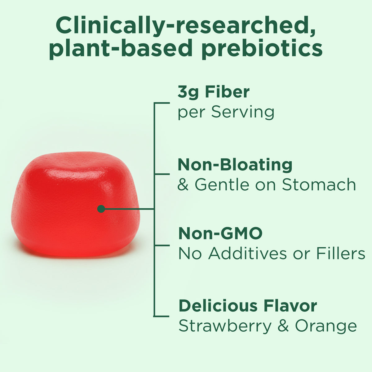 Vegan Prebiotic Fiber Gummies